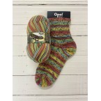 Opal Rainforest 17 Sock Yarn 